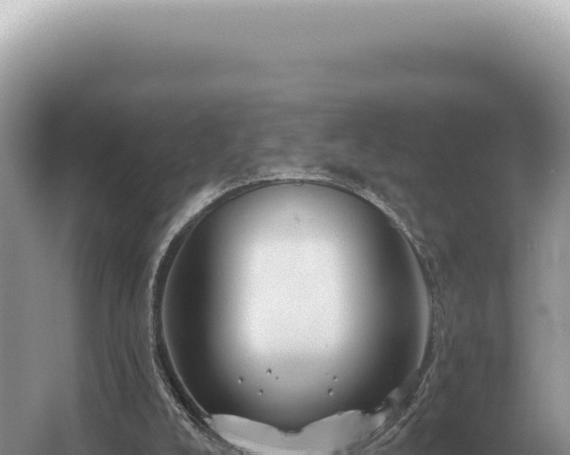 X0000054420008200508051818