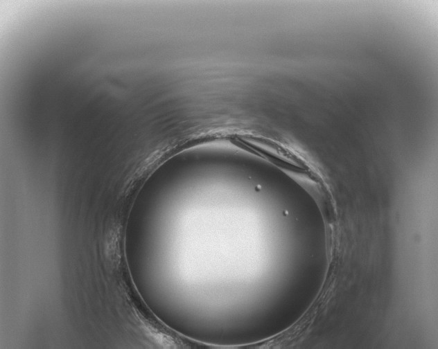 X0000054420009200508051818