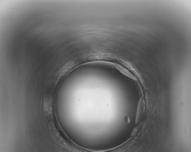 X0000054420010200508051818