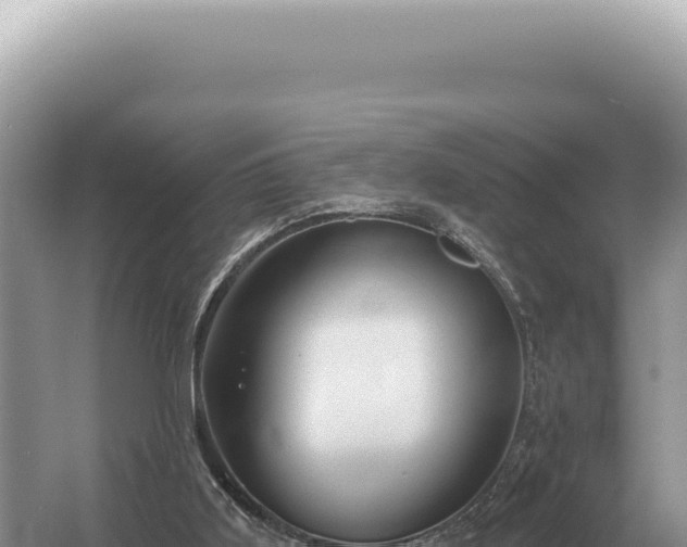 X0000054420011200508051818