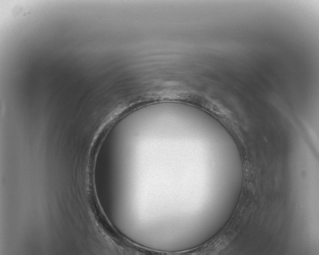 X0000054420012200508051818