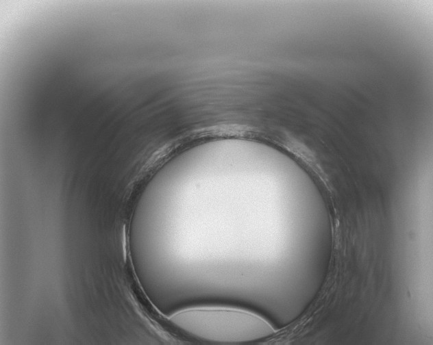 X0000054420013200508051818