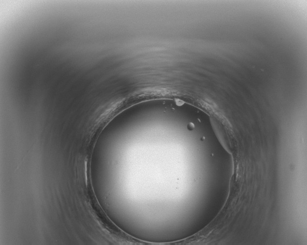 X0000054420014200508051818