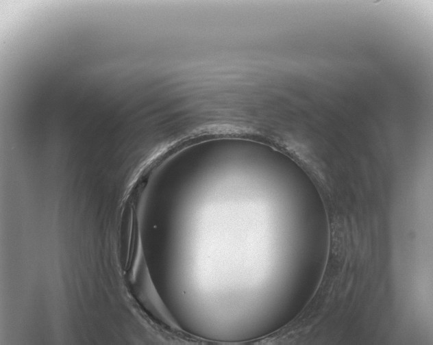 X0000054420015200508051818