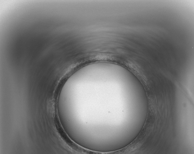 X0000054420016200508051818