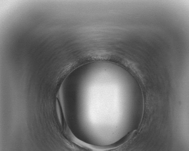 X0000054420017200508051818