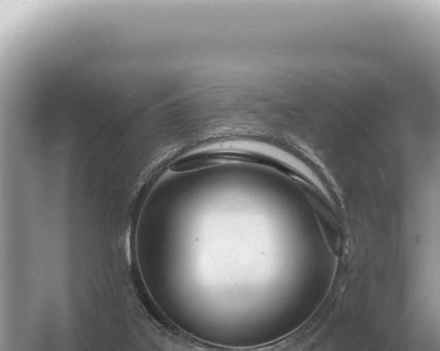 X0000054420019200508051818