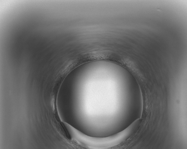 X0000054420021200508051818