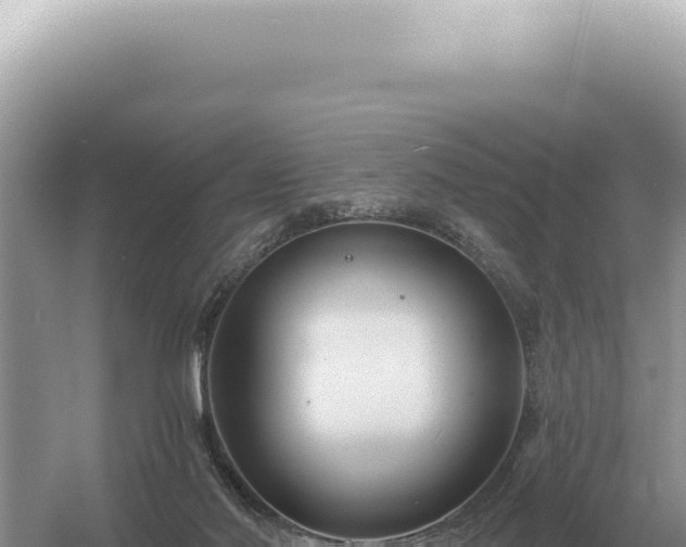 X0000054420022200508051818