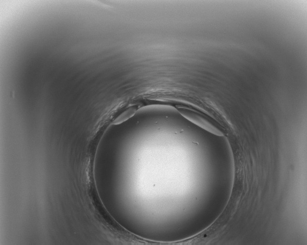 X0000054420023200508051818