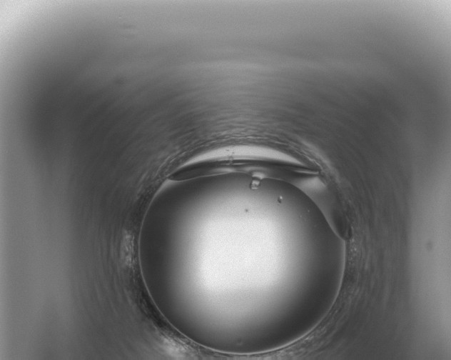 X0000054420025200508051818