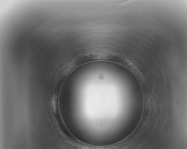 X0000054420026200508051817