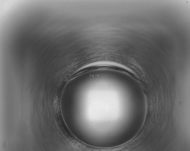 X0000054420029200508051817