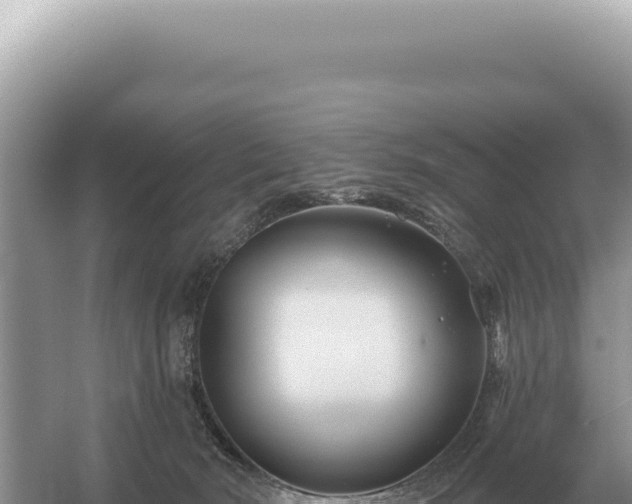 X0000054420030200508051817