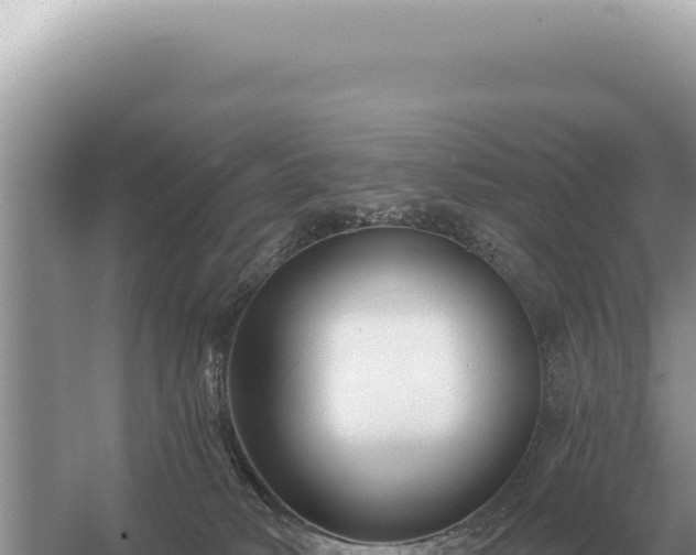 X0000054420034200508051817