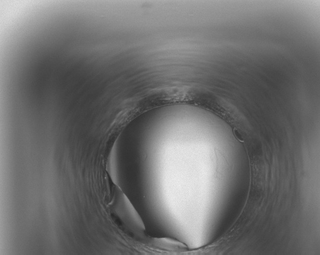 X0000054420035200508051817