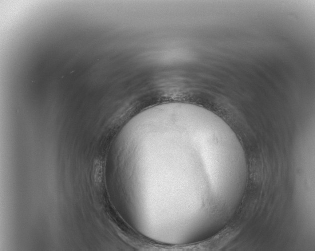 X0000054420036200508051817