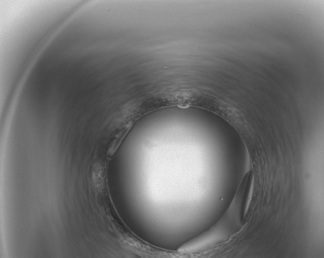 X0000054420037200508051817