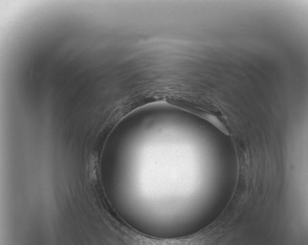 X0000054420038200508051817