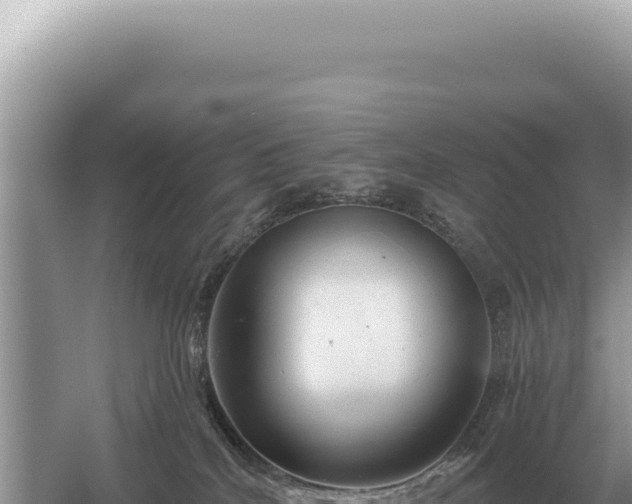 X0000054420040200508051817