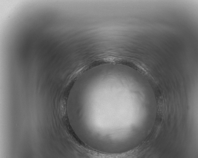 X0000054420043200508051817