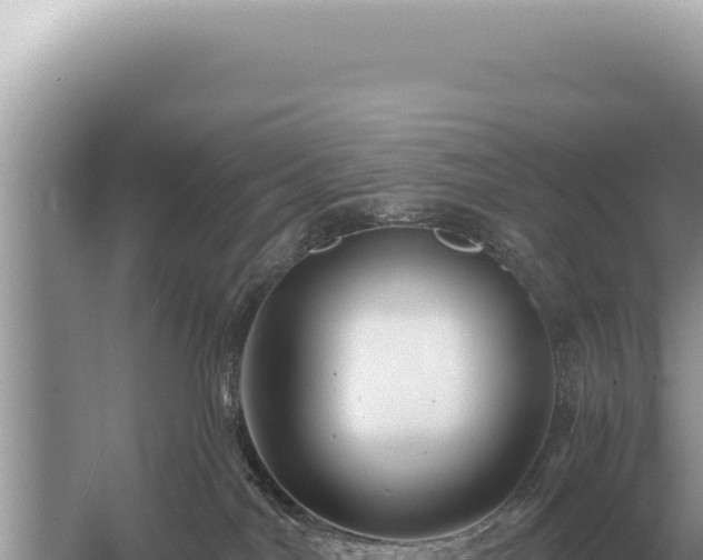 X0000054420044200508051817