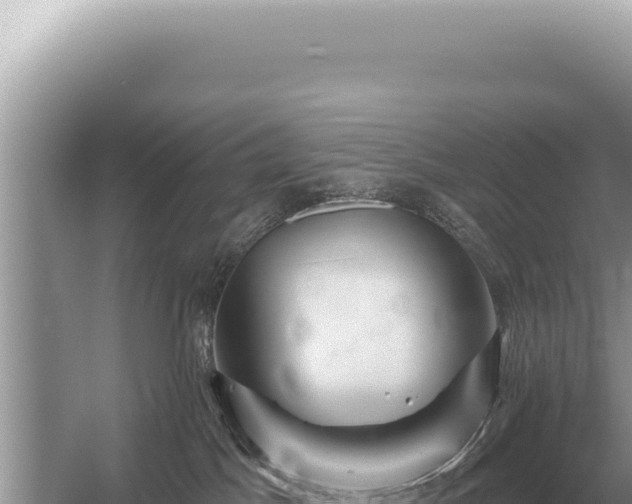 X0000054420045200508051817