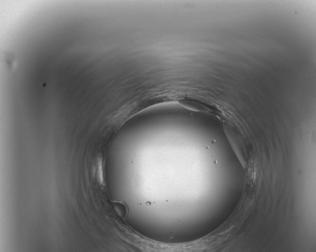 X0000054420046200508051817