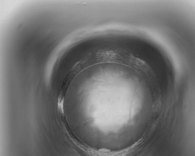 X0000054420047200508051817