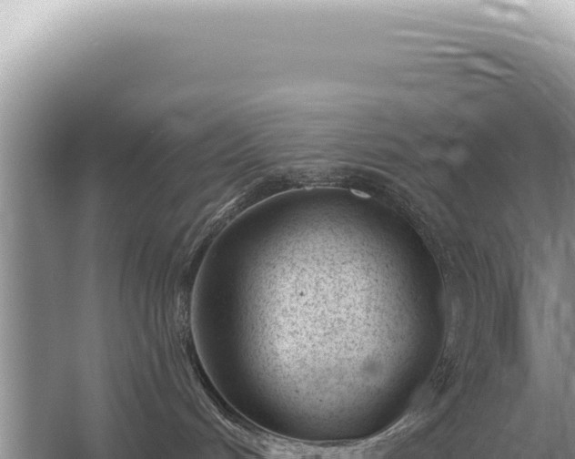 X0000054420048200508051817