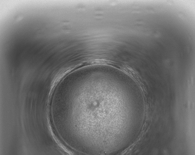 X0000054420049200508051816