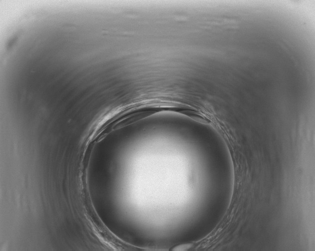 X0000054420050200508051816