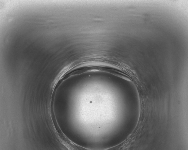 X0000054420051200508051816