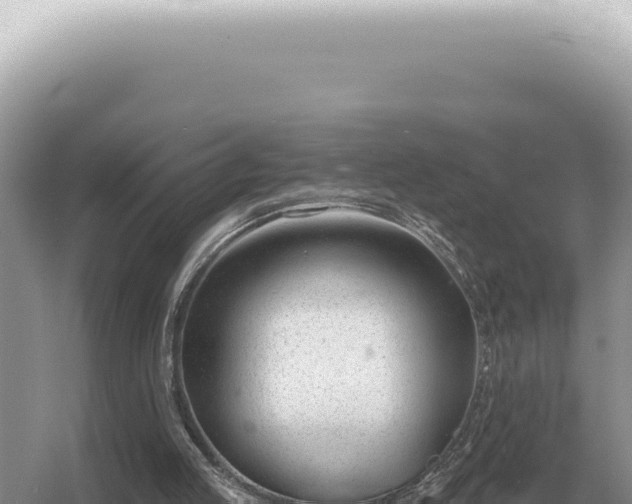 X0000054420053200508051816