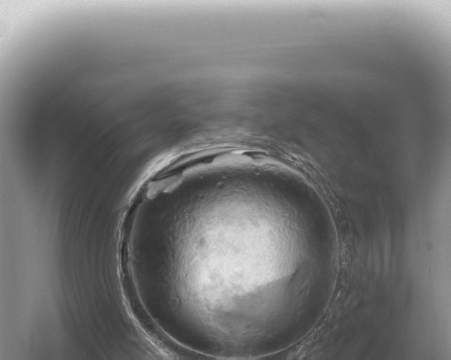 X0000054420054200508051816