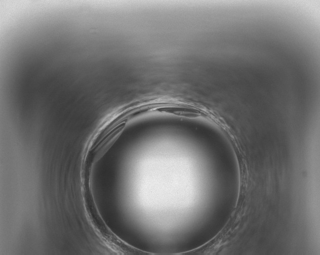 X0000054420055200508051816