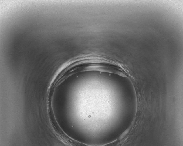 X0000054420056200508051816