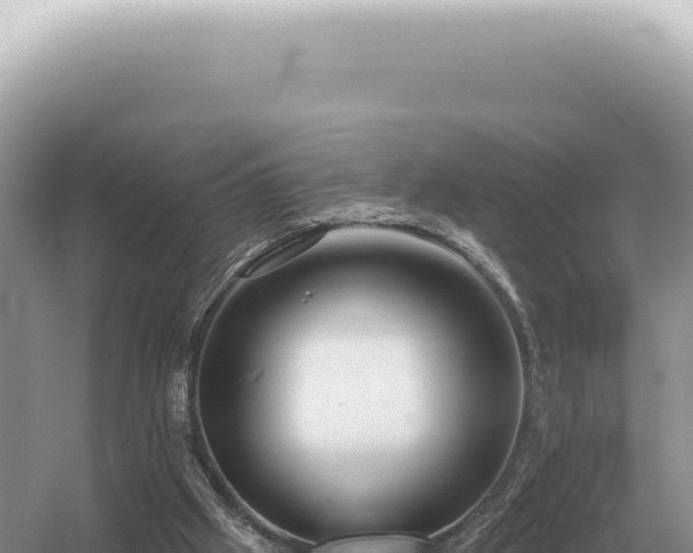 X0000054420057200508051816