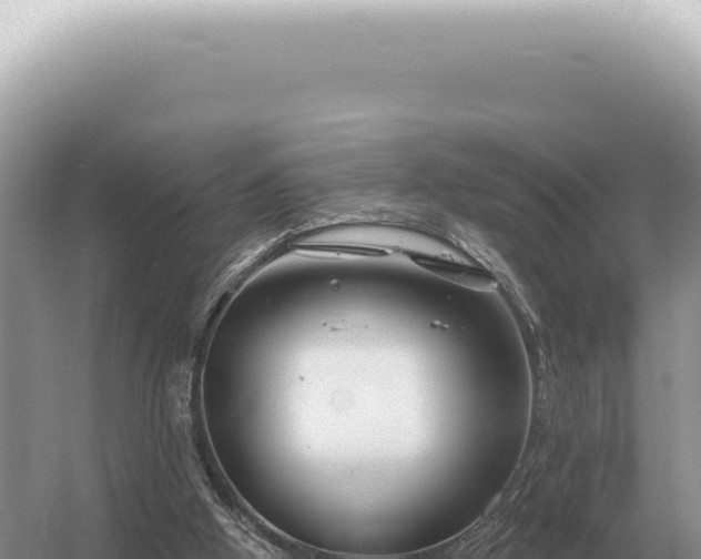 X0000054420058200508051816