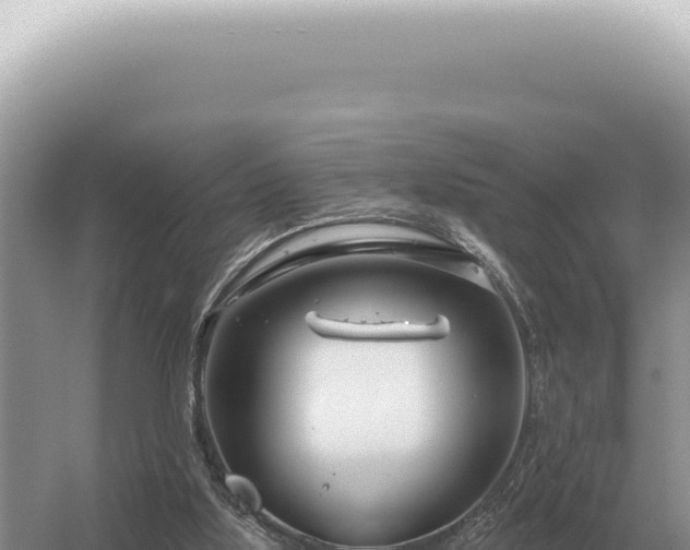 X0000054420059200508051816