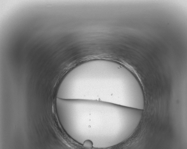 X0000054420061200508051816