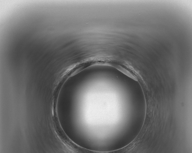 X0000054420062200508051817