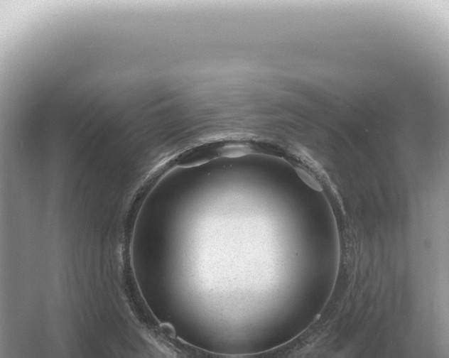 X0000054420063200508051817