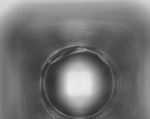 X0000054420064200508051817