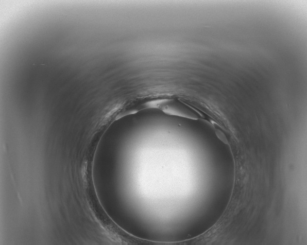 X0000054420066200508051817