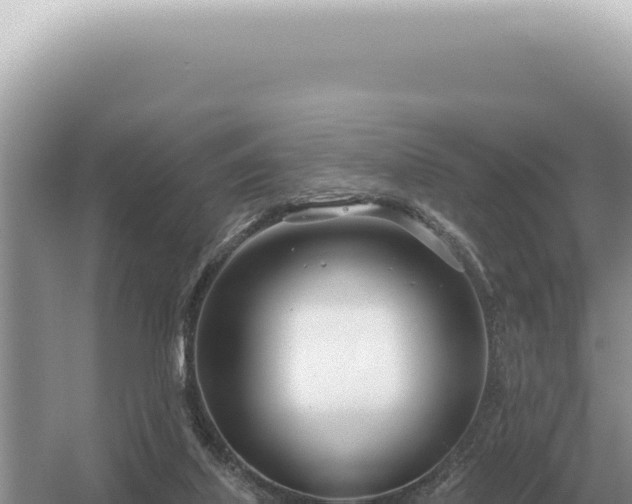 X0000054420067200508051817