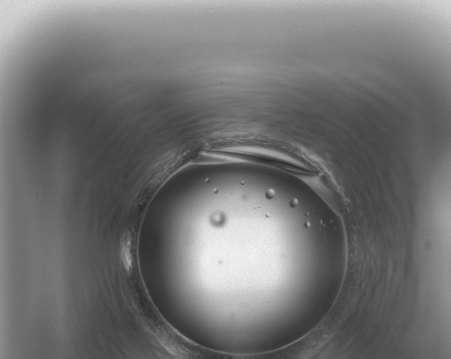 X0000054420069200508051817