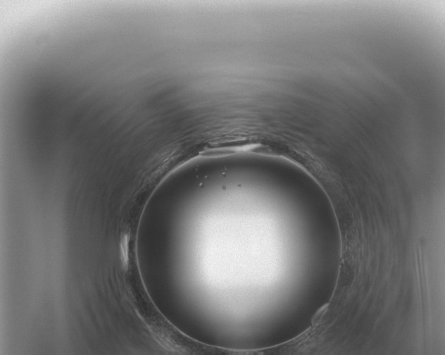 X0000054420070200508051817