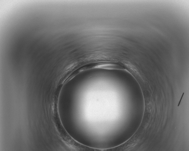 X0000054420072200508051817