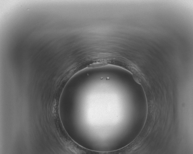 X0000054420073200508051817